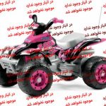 موتورشارژی IGOR0073 Corral T-Rex Pink یک برند لوکس ایتالیایی است با محصولات خاص و شیک با کیفیت عالی برای کودکان دلبند شما