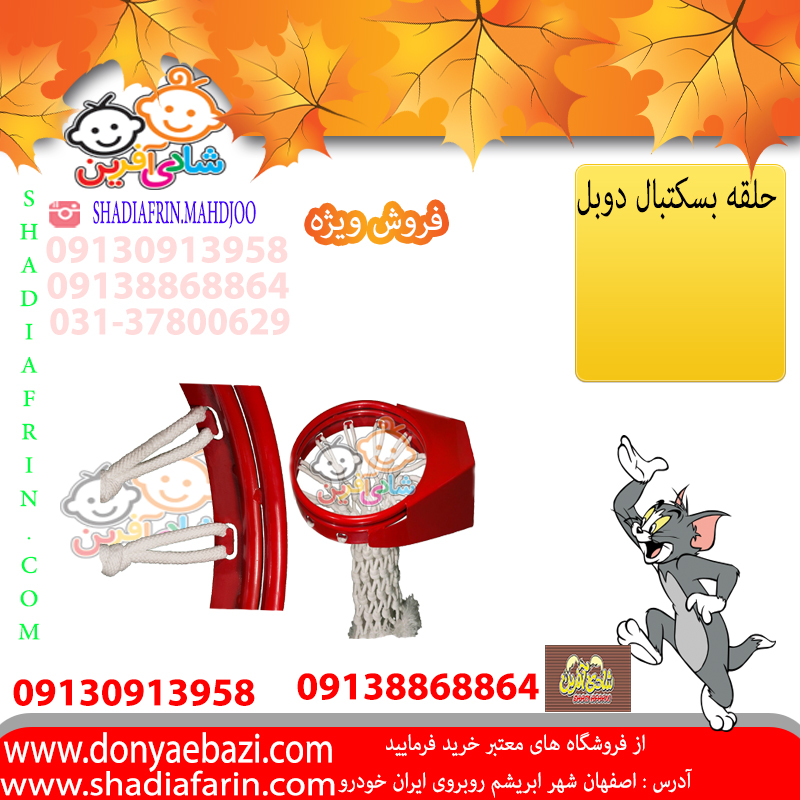 حلقه بسکتبال دوبل